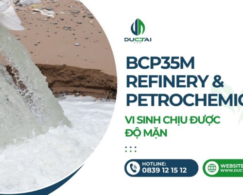 SP - BCP35M – VI SINH CHỊU ĐƯỢC ĐỘ MẶN
