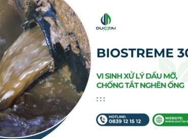 SP - BIOSTREME 301 – VI SINH XỬ LÝ DẦU MỠ, CHỐNG TẮT NGHẼN ỐNG