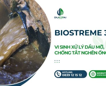 SP - BIOSTREME 301 – VI SINH XỬ LÝ DẦU MỠ, CHỐNG TẮT NGHẼN ỐNG