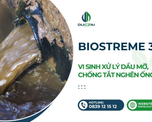 SP - BIOSTREME 301 – VI SINH XỬ LÝ DẦU MỠ, CHỐNG TẮT NGHẼN ỐNG