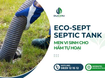 SP - ECOSEPT – MEN VI SINH CHO HẦM TỰ HOẠI