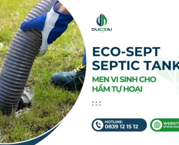 SP - ECOSEPT – MEN VI SINH CHO HẦM TỰ HOẠI