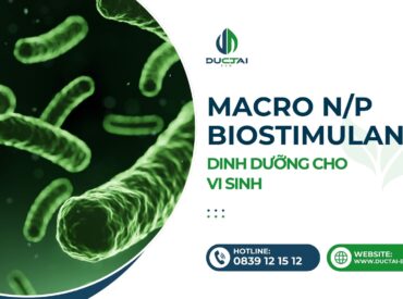 SP - MACRO NP – DINH DƯỠNG CHO VI SINH