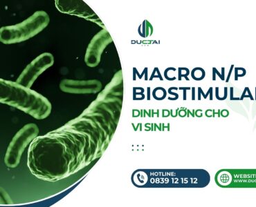 SP - MACRO NP – DINH DƯỠNG CHO VI SINH