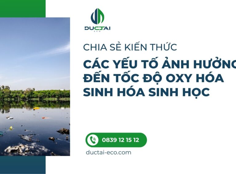 CÁC YẾU TỐ ẢNH HƯỞNG ĐẾN TỐC ĐỘ OXY HÓA SINH HÓA SINH HỌC