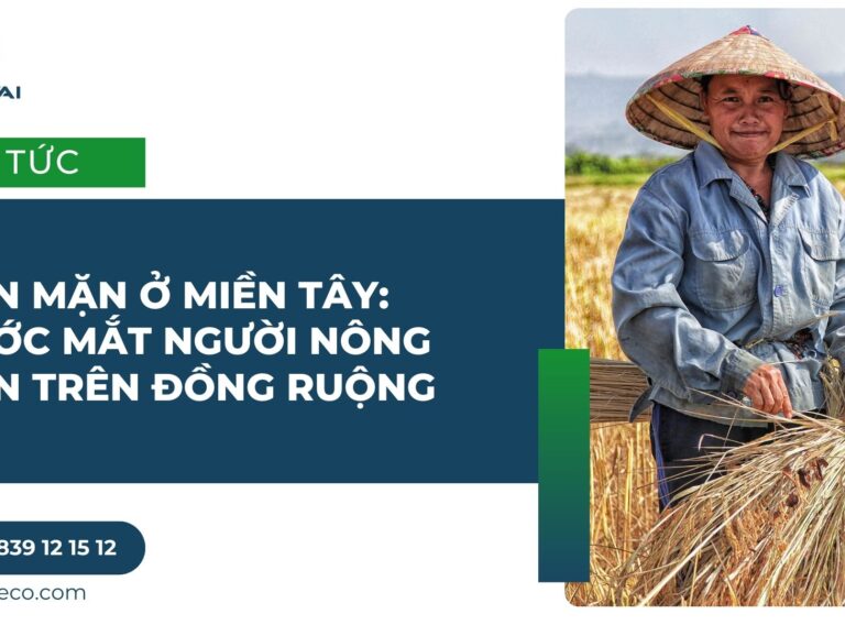 HẠN MẶN Ở MIỀN TÂY_ NƯỚC MẮT NGƯỜI NÔNG DÂN TRÊN ĐỒNG RUỘNG